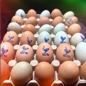 Václav Noid Bárta už má domácí vajíčka se svým logem.