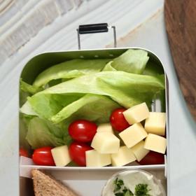 Krabičky podle Lady Noskové obsahují nutričně plnohodnotné jídlo.