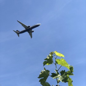 Letadla nad domem, který je poblíž letiště, přelétávají téměř nepřetržitě.