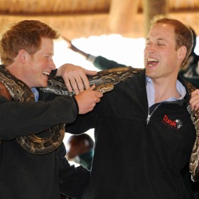 Další přízvisko dal svému mladšímu bratrovi sám William, a to Harold.