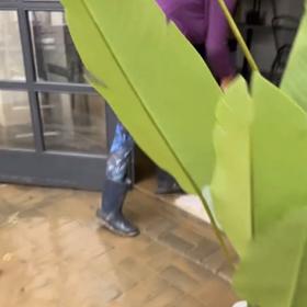 Rodiče Mališové provozují v Opavě restauraci. 