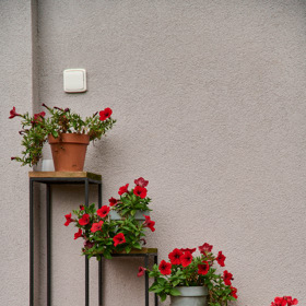 Hanka miluje květiny a ihned je do nového domova nainstalovala.