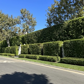 Sousedé P. Diddyho na takový klid nejsou zvyklí.