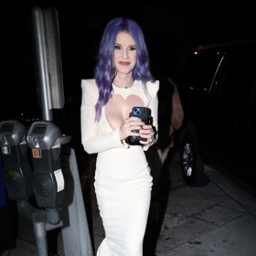 Kelly Osbourne má vosí pas. 
