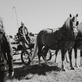 Na svatbě byli i koně. 