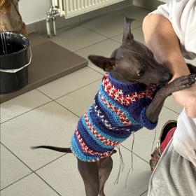 Mirka van Gils Slavíková pojmenovala svého psího miláčka po slavném komikovi a sama mu plete oblečky.