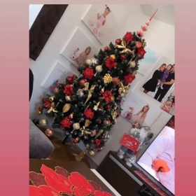 Marie Růžičková měla kompletní vánoční výzdobu už koncem listopadu.