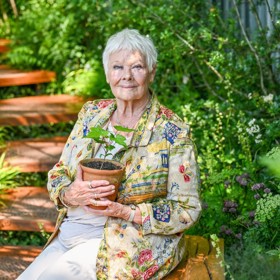 Podle britské filmové legendy je stáří jen pro odvážné a raději by byla mladá a hloupá než stará a zkušená.