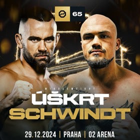 Náhradníkem pro Radovana Úškrta bude nováček Daniel Schwindt.