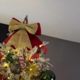 Lenka Limberská a její špička stromečku.