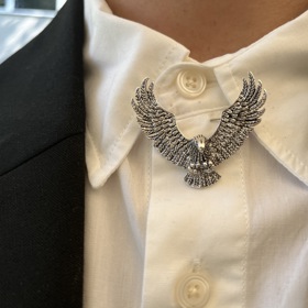 Brož Jana Bendiga v detailu.