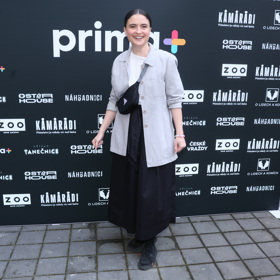 V roce 2024 zazářila v seriálu Prima plus, 7 schodů k moci.