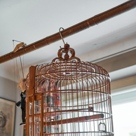 Detail krásné ptačí klece