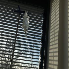 Hana Třeštíková ušla k mateřství nelehkou cestu