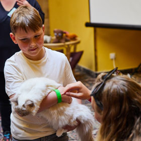 Na výstavě se také uskutečnila ukázka felinoterapie.