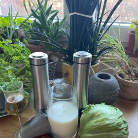 Ledový salát Roberta Záruby a Nory Fridrichové jsme si zkusili připravit v redakci. Tady jsou ingredience, které na salát s názvem Ledový Robert potřebujete.