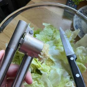 Česnek rozdrtíme do salátu, osolíme a opepříme. 