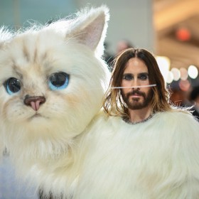 Choupette na sebe poutala pozornost prakticky celý život. Byla múzou i společnicí Karla Lagerfelda. Na Met Gala v roce 2023 jí svým outfitem vzdal hold i herec Jared Leto.
