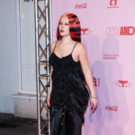 Neméně extravagantní účes na ceny Anděl zvolila také zpěvačka a textařka Terra.