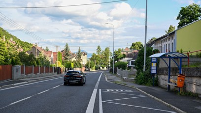 FOTO: Dubí působí ospalým dojmem.