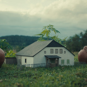 Snímek Raději zešílet v divočině navazuje na stejnojmennou knihu Aleše Palána a Jana Šibíka o lidech, kteří si dali přednosti životu v přírodě před městem. Jsou to blázni, charismatičtí pábitelé, nebo zcela normální lidé? 