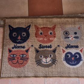 Vchod do domu hlídají kočičky, neživé, ale najdou se tady i dvě skutečné