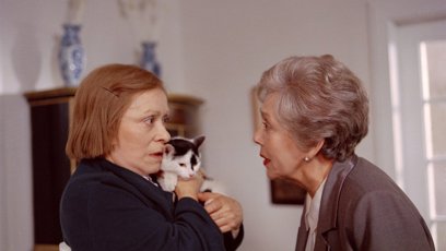 FOTO: Fany patří k nejlepším snímkům Jiřiny Bohdalové.