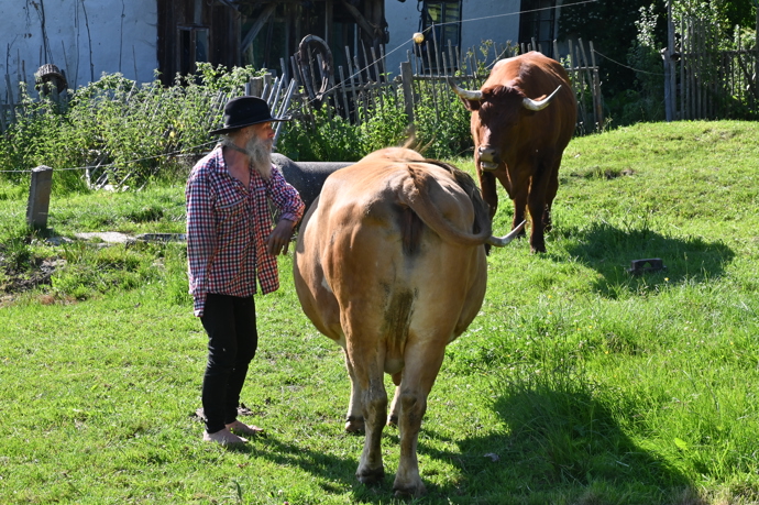 Klišíkovi bydleli na samotě na Šumavě.