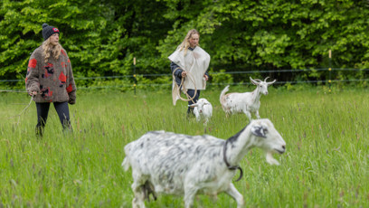 FOTO: Na Farmě je živo.