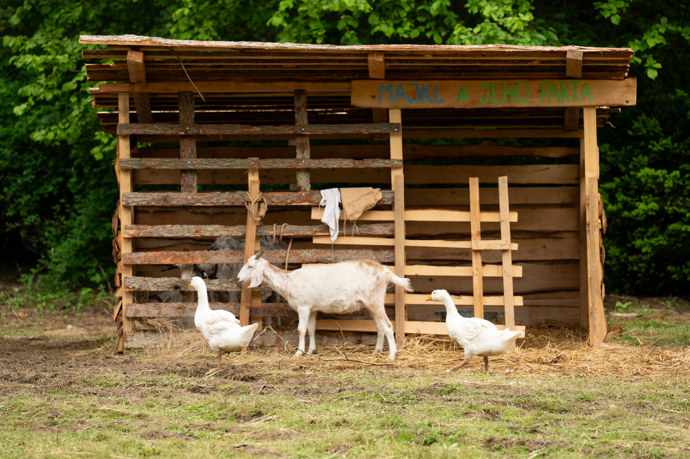 Zvířata na Farmě.