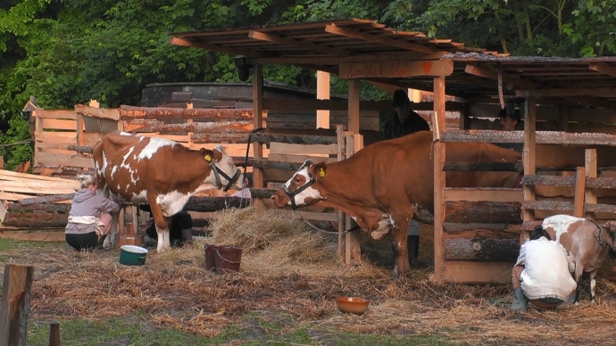 Zvířata na farmě.