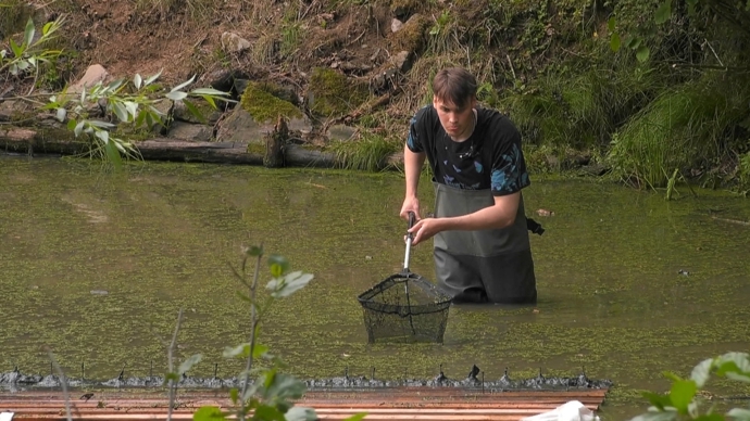 Luktuma pracuje na farmě.