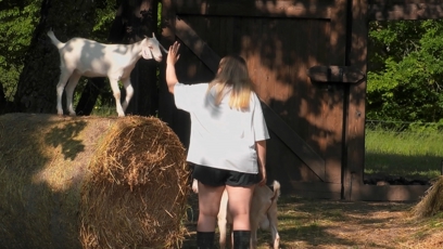 FOTO: Andrea se postarala o zvířata.