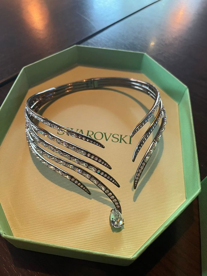 Překrásný choker značky Swarovski v hodnotě 25 000 Kč.