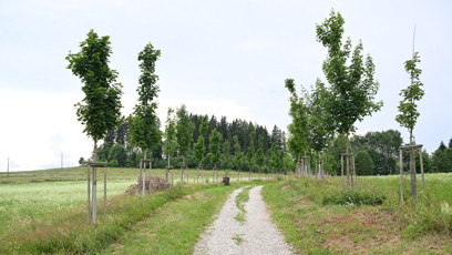 FOTO: Cesta k domu Františka Klišíka.