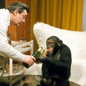 Texty k písním, které ve filmu zazní, napsal František Ringo Čech, který si také střihnul, spíše přehlédnutelnou, roli diskžokeje.