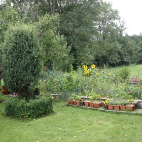 Pohled na zahrádku Oldřicha Navrátila.