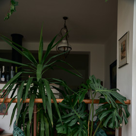 Část zarostlé zimní zahrady