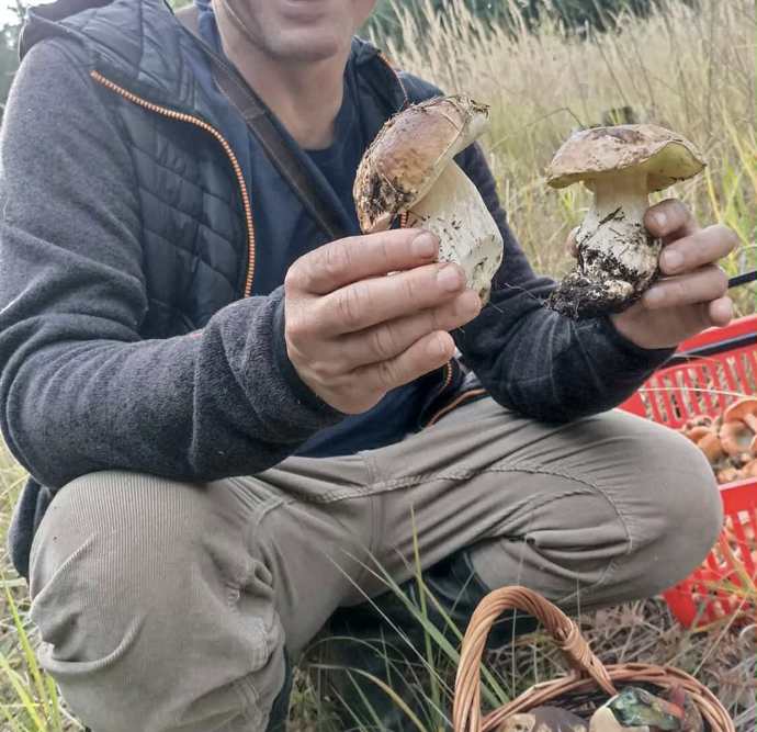 Na houby s rodinou pravidelně vyráží i moderátor Zázraků přírody, Vladimír Kořen. Fotografie jsou z minulých let, ale houbaře jistě potěší. 