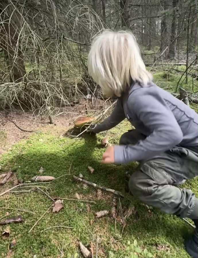 Klučina už dobře ví, že houby se sbírají opatrně a vytahují se za nohu, ne za klobouček. 
