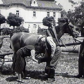 snímek z filmu Okouzlená