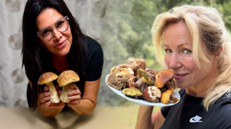 Nejlepší houbové úlovky českých celebrit: Kateřina Brožová našla samé praváky, Ilona Csáková hned uvařila kulajdu