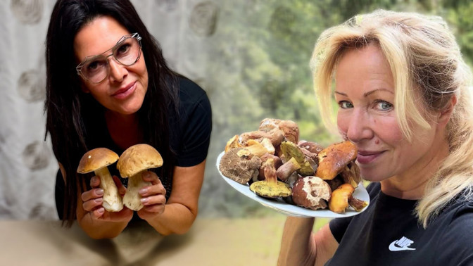Nejlepší houbové úlovky českých celebrit: Kateřina Brožová našla samé praváky, Ilona Csáková hned uvařila kulajdu