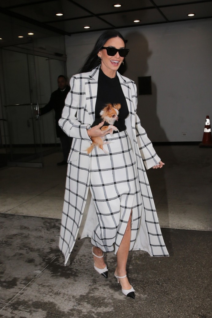 Demi Moore nosí kostkované kousky v klasickém černo-bílém barevném provedení. Pouzdrový střih sukně, kterou má herečka na sobě, bude letos velkým hitem.