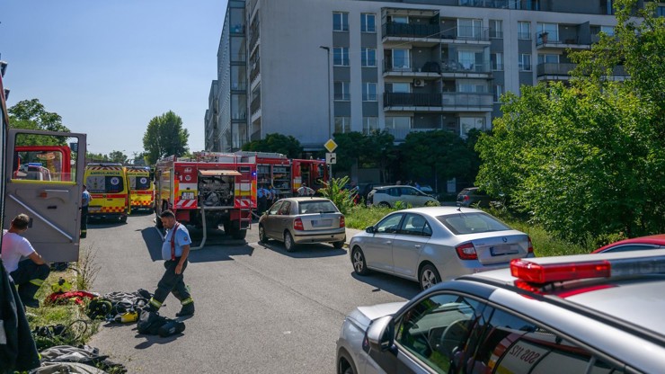 Hasiči vynášeli z bytu mrtvá tělíčka
