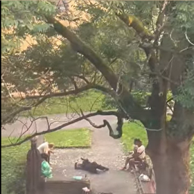 V jabloneckém parku došlo k brutálnímu napadení.
