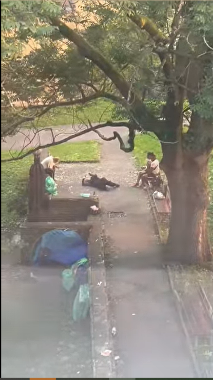 V jabloneckém parku došlo k brutálnímu napadení.