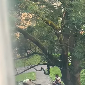 Muž ženou smýkal po zemi.