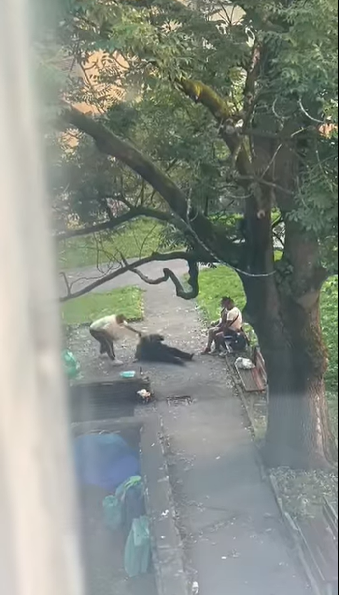Muž ženou smýkal po zemi.