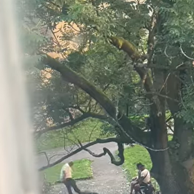 Muž do ženy následně kopal.